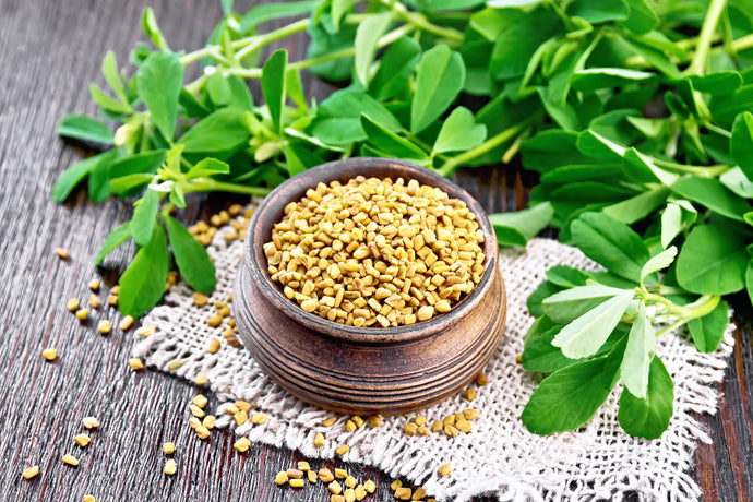 Can Fenugreek Boost Your Testosterone Levels?
