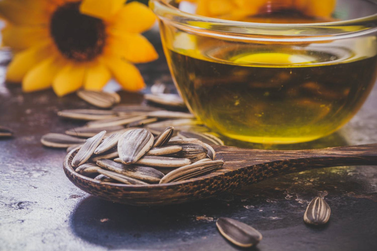 A bowl of sunflower oil with sunflower seeds and a sunflower in the background
