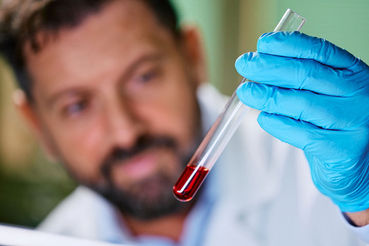 Testosterone and cholesterol