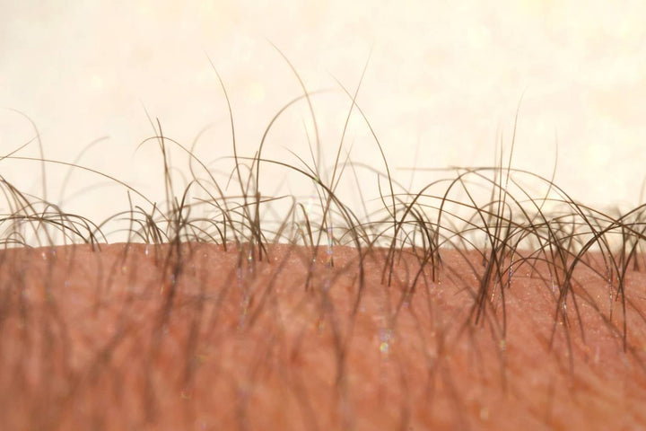 vellus hair used with realistic hair-care expectations