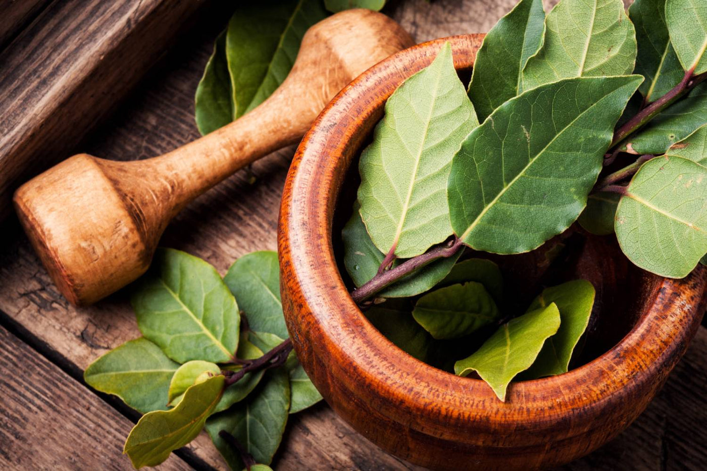 Dried bay leaves used to flavor soup and stew