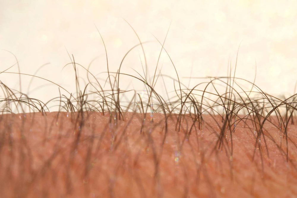 Vellus Hair: What Is It and How Does It Grow?