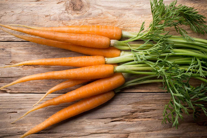 The Many Benefits of Carrot Seed Oil: How This Underrated Oil Can Improve Your Skin and Hair
