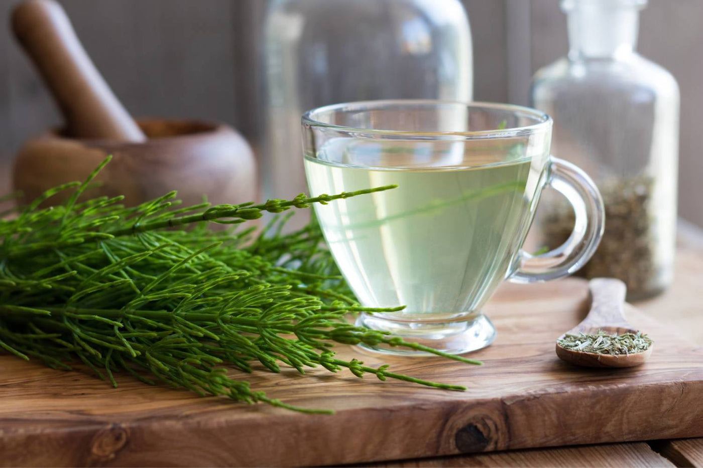 Horsetail herb supplement with evidence and safety review