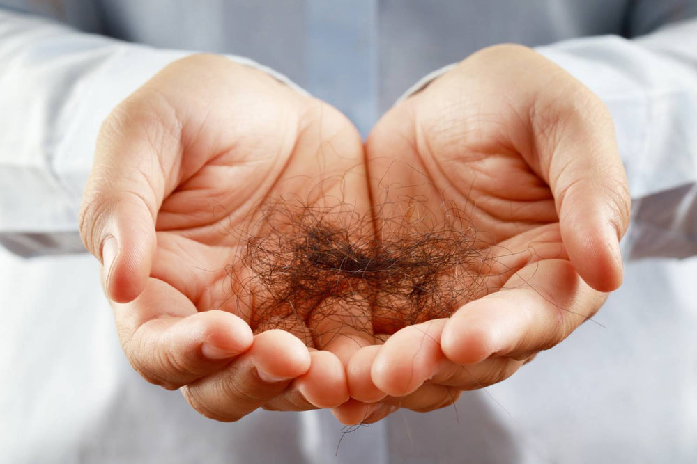 Excessive Hair Shedding: How to Stop it