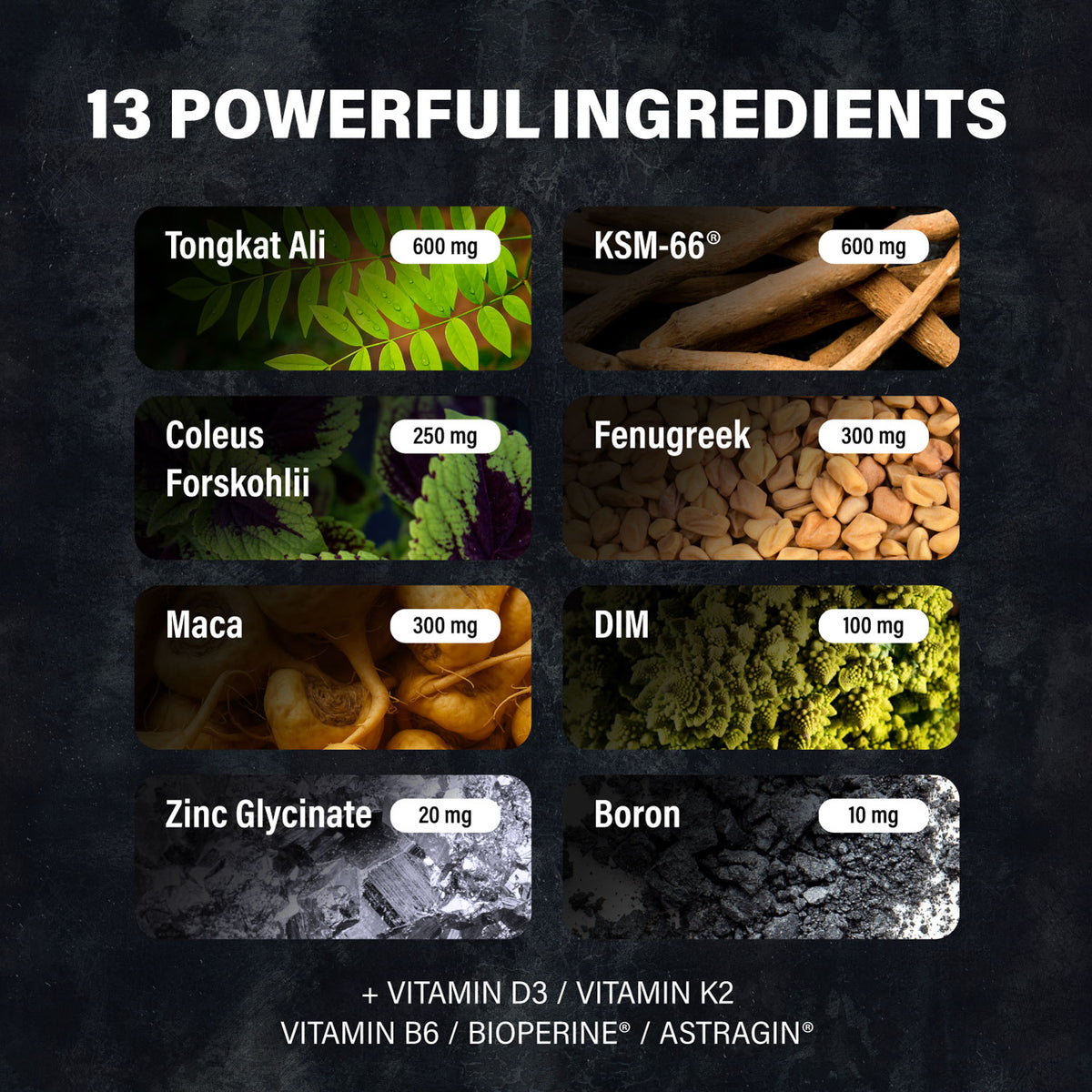 Men’s+ formula infographic listing 13 ingredients